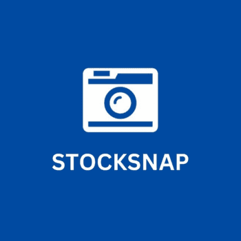Stock Snap Logo