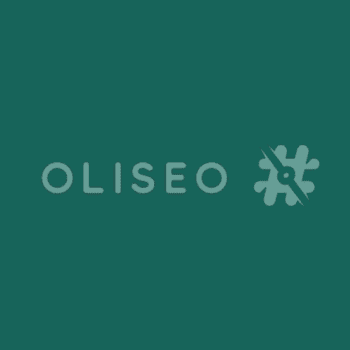 Logo Seo Jaen
