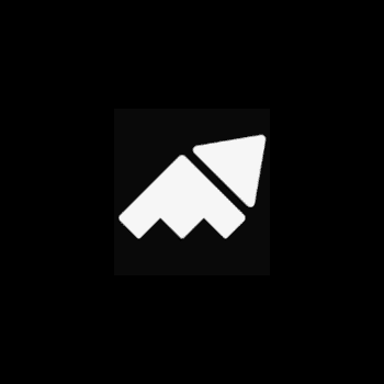 Logo Brandinamic