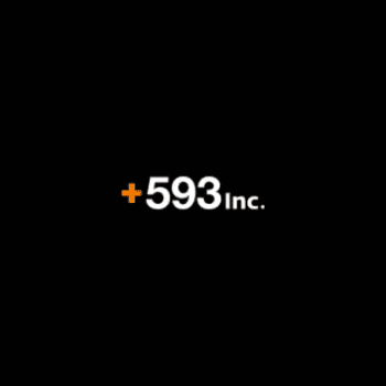 Logo 593 Inc