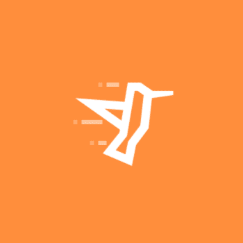 Hummingbird Logo