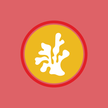 Logo Anntoine