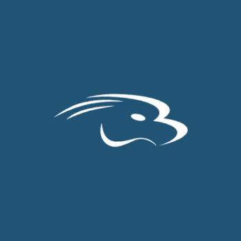 Logo Avidhawk