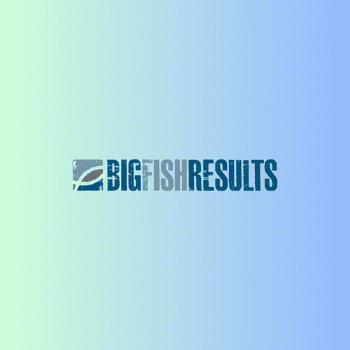 Logo Bigfish Results