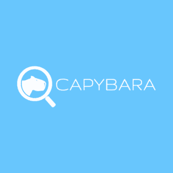 Logo Capybara SEO