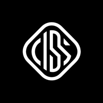 Logo Digital Success Solutions