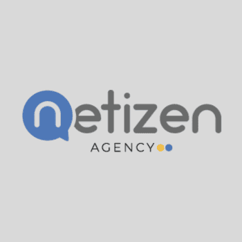 Logo Netizen