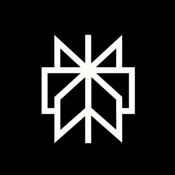 Perplexity Logo