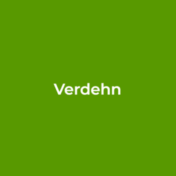 Logo Verde HN