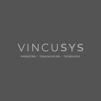 Logo Vincusys