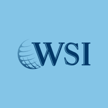 Logo WSI Conecta
